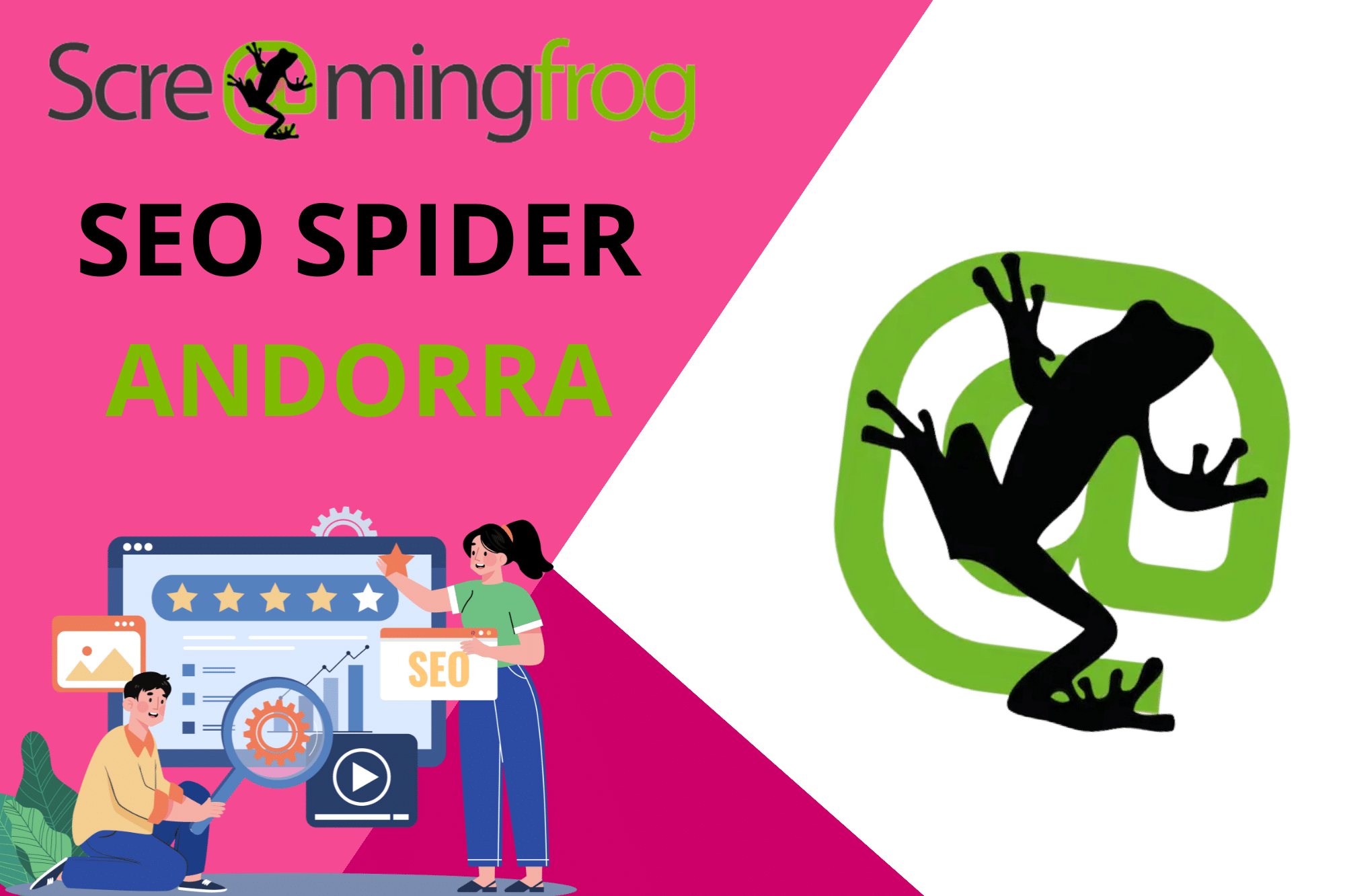 screaming frog spider software